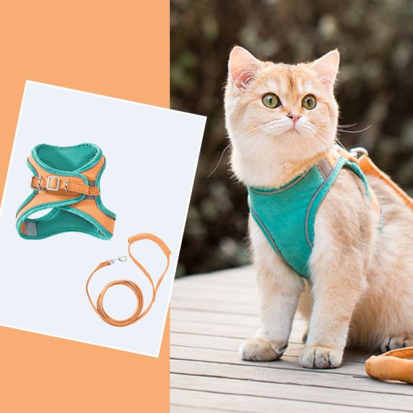 Shining Cat Vest Harness